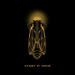 free性户土vidos亚洲
